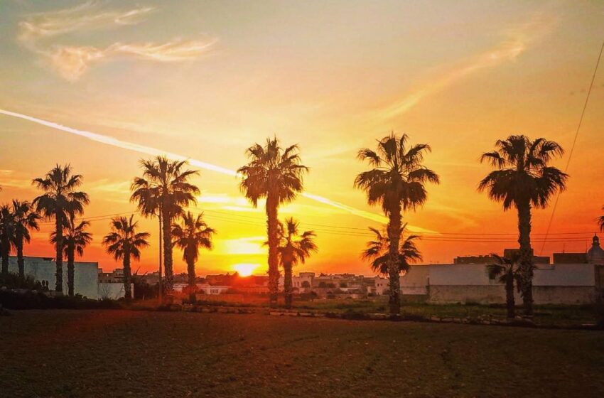 Bnazzi Bl-Umdu Għal-Lum …