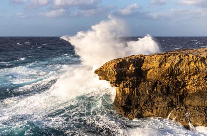 Irreġistrata L-Ogħla Buffura