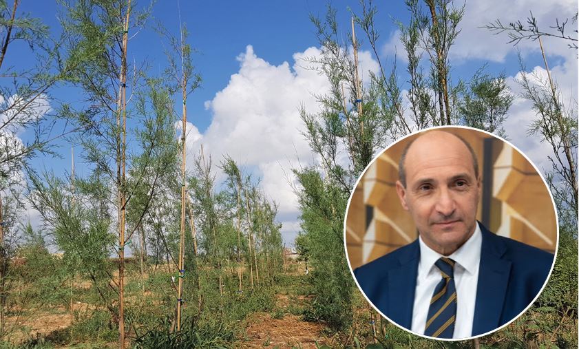 Masġar Li Se Jfakkar Il-Memorja Tal-Vittimi Tal-COVID-19 F’Malta